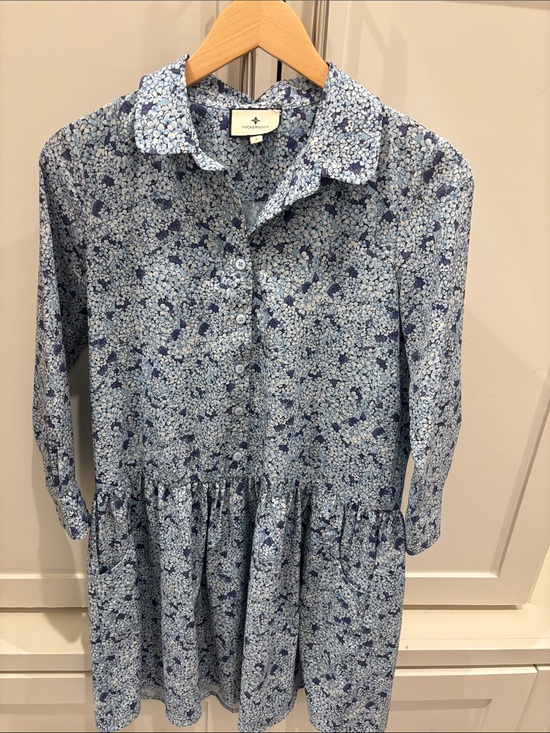 Tuckernuck Dresses & Skirts - Tuckernuck Blue Hydrangea Button-Front Casual Dress